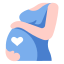 Pregnancy Calculator