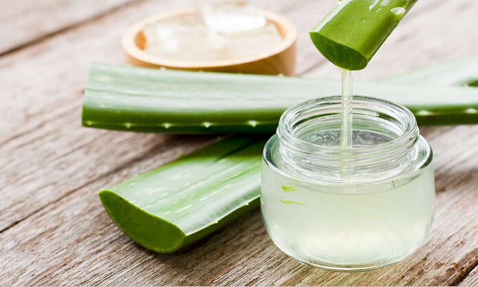 Benefits of Using Natural Ingredients like Aloe Vera & Turmeric for Skincare